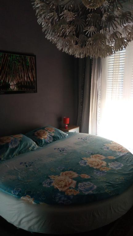 אלבה B&B Il Pisolo מראה חיצוני תמונה